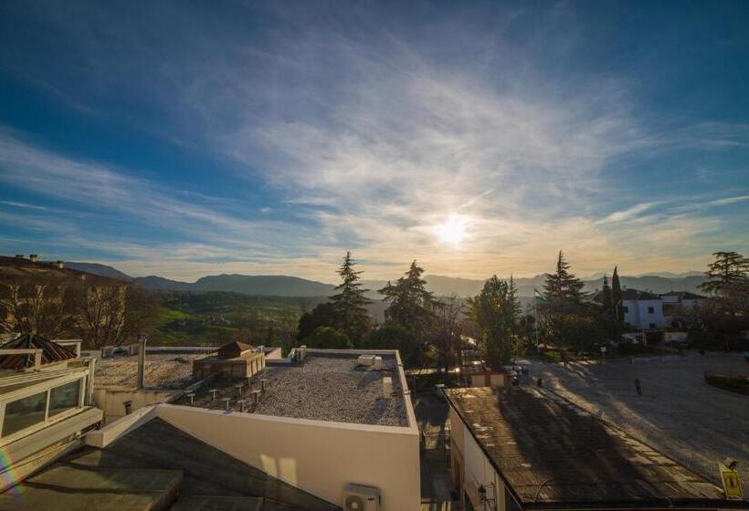 스탠다드 룸, Acinipo