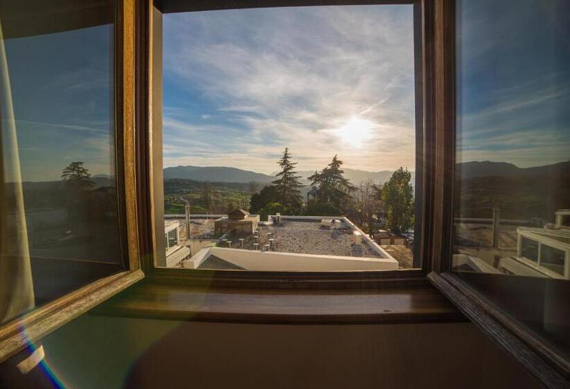 스탠다드 룸, Acinipo