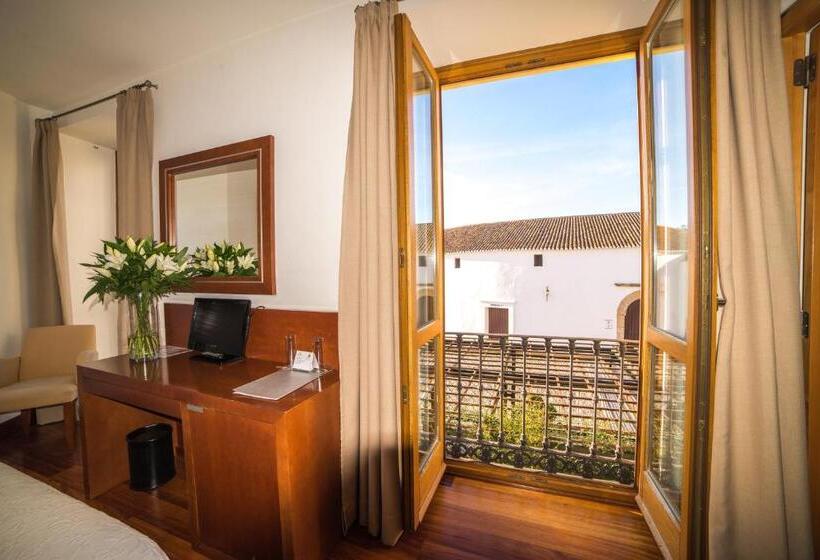 스탠다드 룸, Acinipo