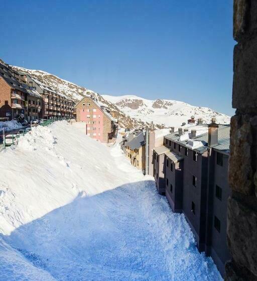 标准间, Camel Lot by Nexta