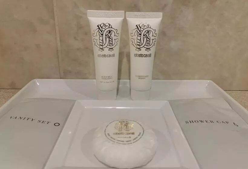シングルデラックスルーム, Giotto Hotel & Spa