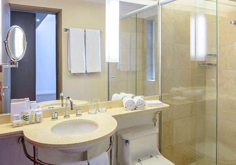 آپارتمان سوپریور 1 خوابه, Mercure Sao Paulo Jardins