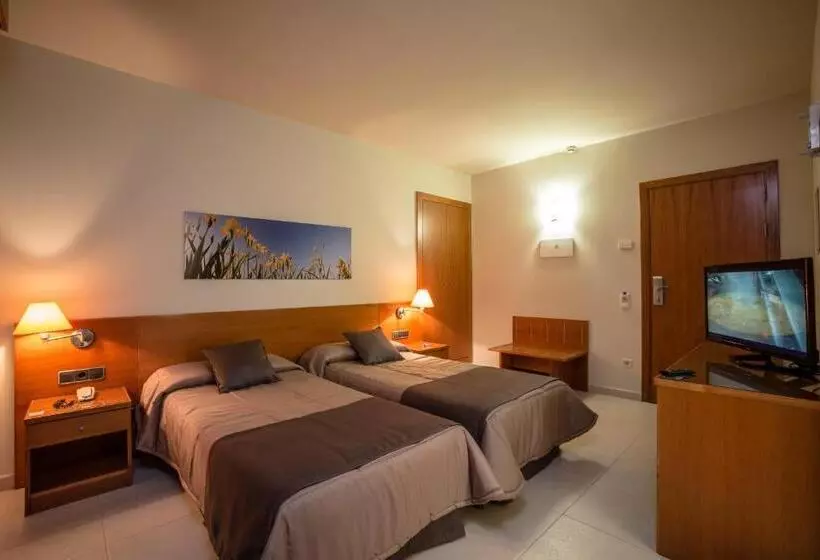 Standard Room, Rull