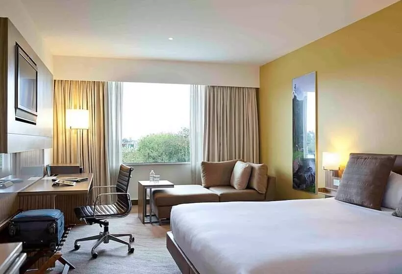エクゼクティブルーム, Novotel Auckland Ellerslie