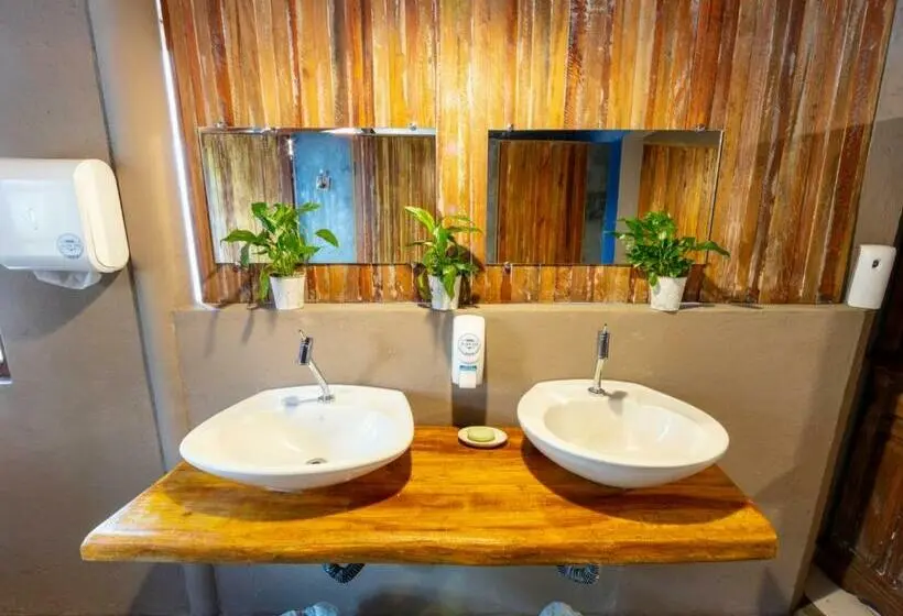 تختخواب در اتاق مشترک, Casa Alma Zen Hostel Boutique & Bistrô Ubatuba