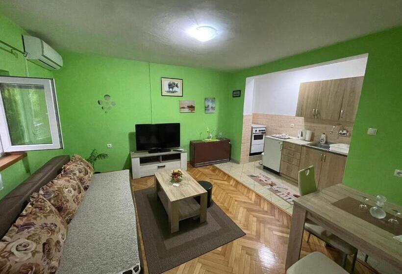آپارتمان 1 خوابه با چشمانداز باغ, Apartman Mim