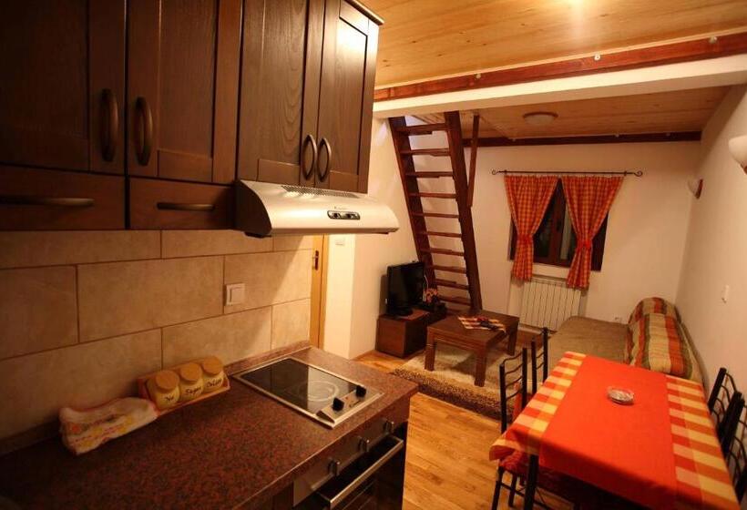 آپارتمان دوبلکس 1 خوابه, Family Apartments