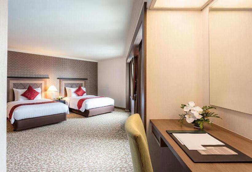 Superior Room City View