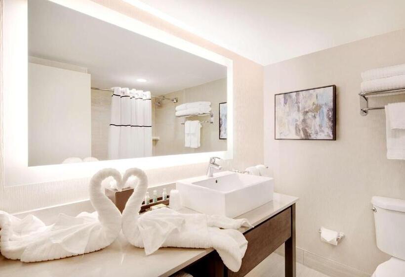 스탠다드 룸 킹사이즈 침대, The Florida Hotel & Conference Center In The Florida Mall