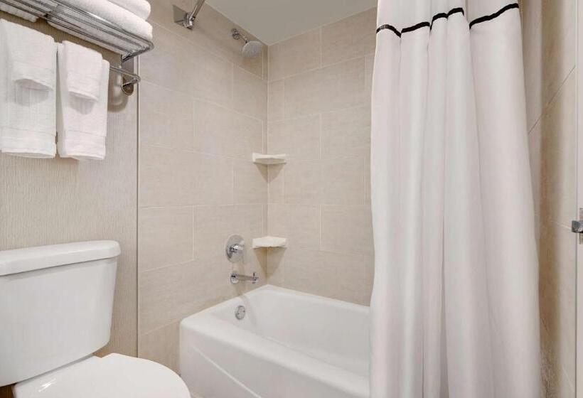 스탠다드 룸 킹사이즈 침대, The Florida Hotel & Conference Center In The Florida Mall