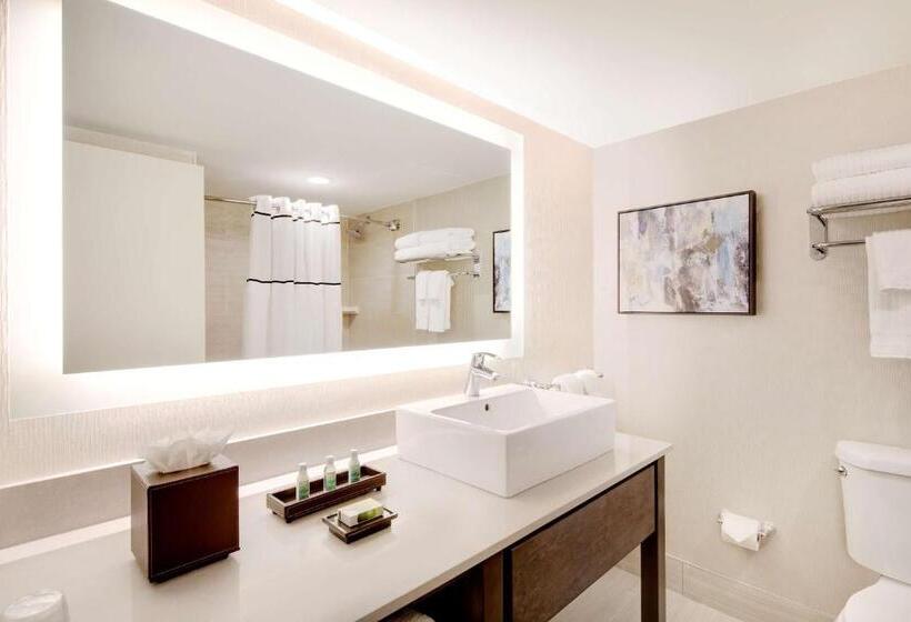 스탠다드 룸 킹사이즈 침대, The Florida Hotel & Conference Center In The Florida Mall