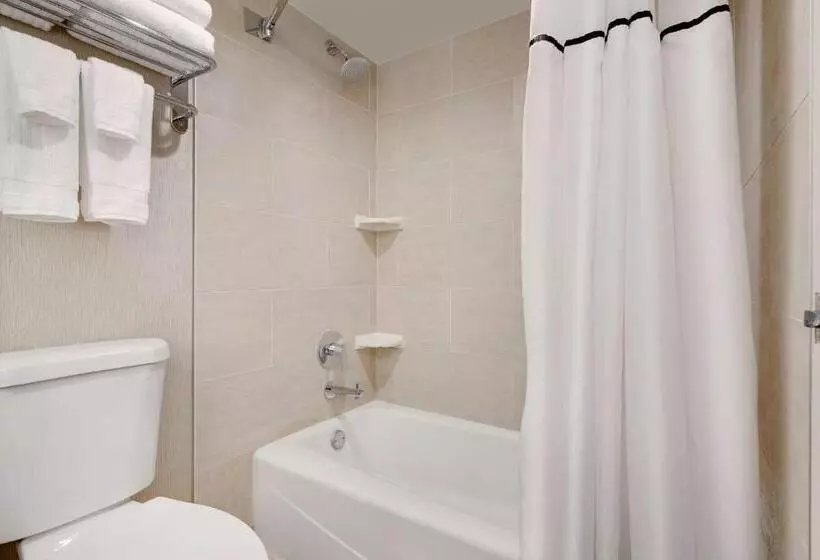 スタンダードシティビュールーム, The Florida Hotel & Conference Center In The Florida Mall