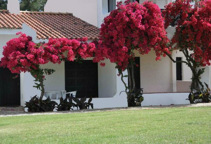 Студия Стандарт, Pedras Da Rainha