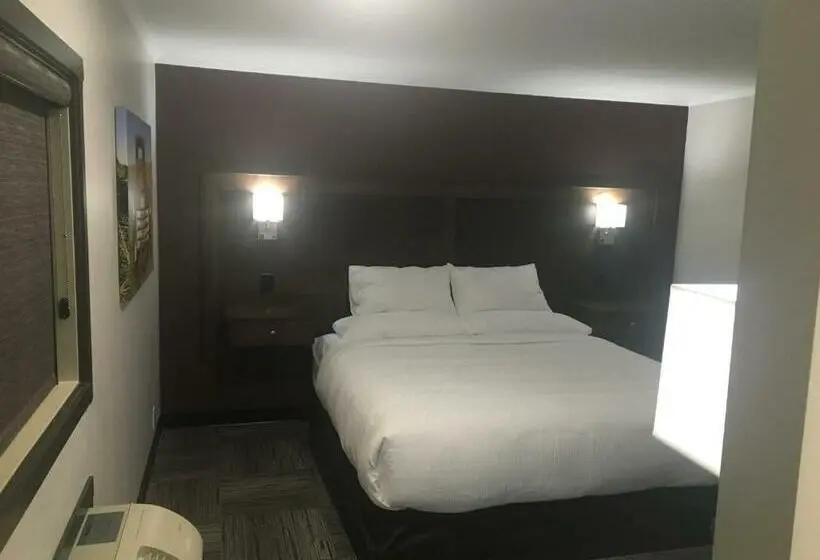 キングサイズベッドのスーペリアルーム, Homestead Inn & Suites