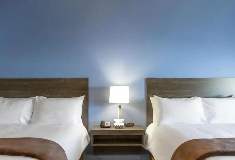 デラックスルーム, My Place Hotel Dahlgren/king George, Va