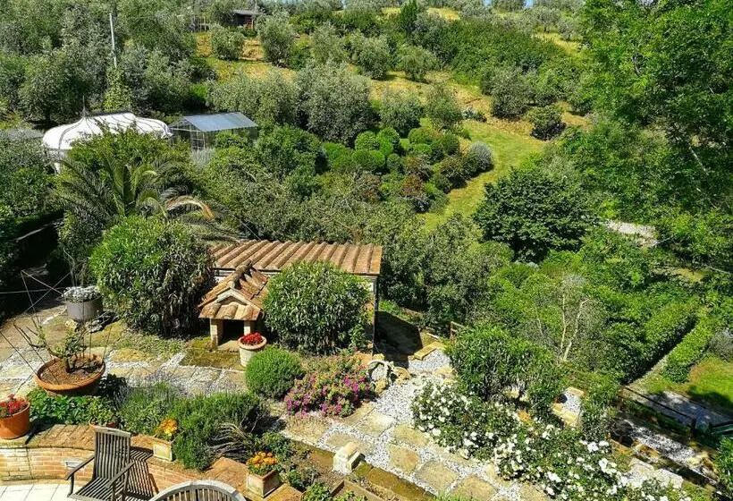 バルコニー付き１ベッドルームアパートメント, Agriturismo Podere Santa Rita