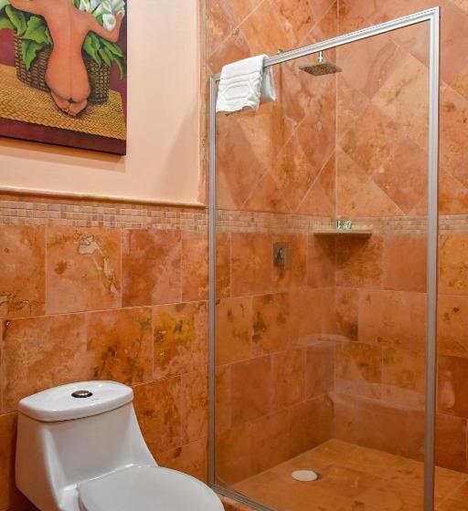 غرفة سوبيريور, Hacienda San Isidro