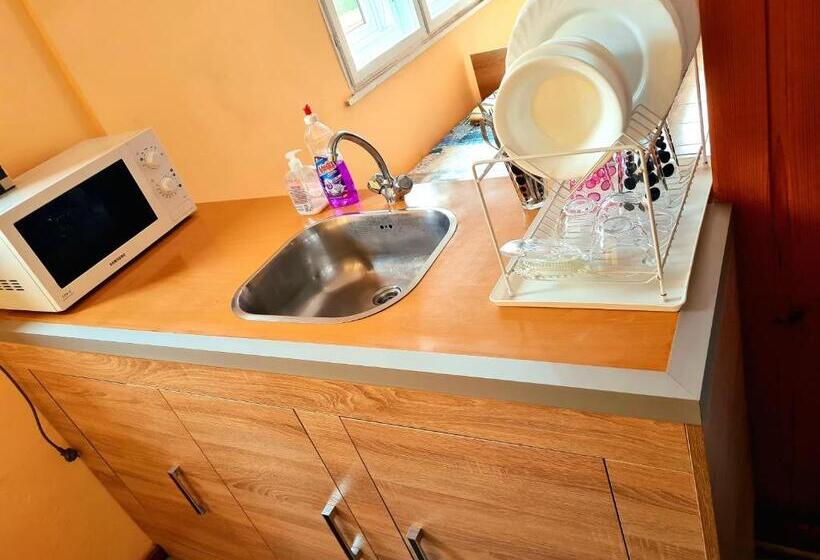 חדר קלאסי לארבעה, Guest House Petrovi