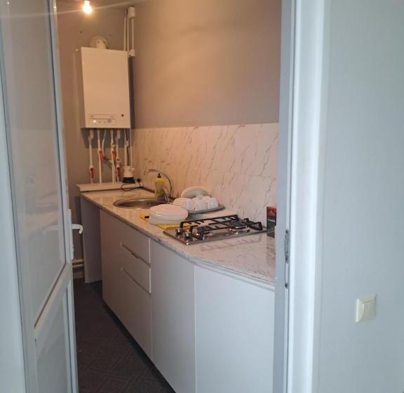 اتاق استاندارد با تخت بزرگ, Ira & Vaso S Guest House Borjomipark