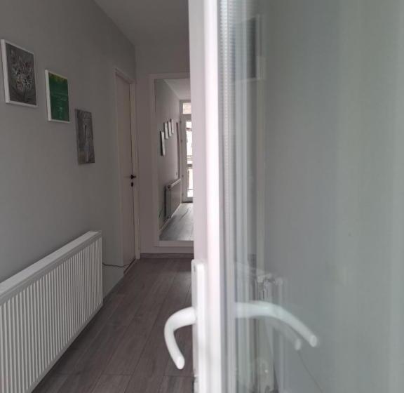 اتاق استاندارد با تخت بزرگ, Ira & Vaso S Guest House Borjomipark