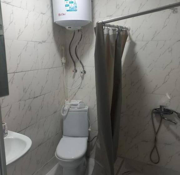 اتاق استاندارد با تخت بزرگ, Ira & Vaso S Guest House Borjomipark