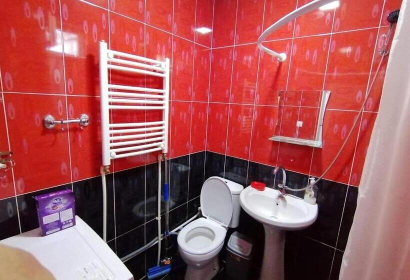 اتاق لوکس سه تخته, Ira & Vaso S Guest House Borjomipark