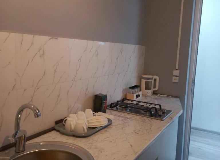 اتاق خانوادگی, Ira & Vaso S Guest House Borjomipark