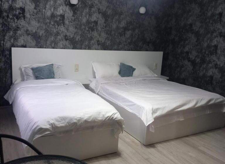 اتاق خانوادگی, Ira & Vaso S Guest House Borjomipark