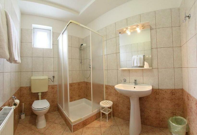 Люкс, Pensiune Montana