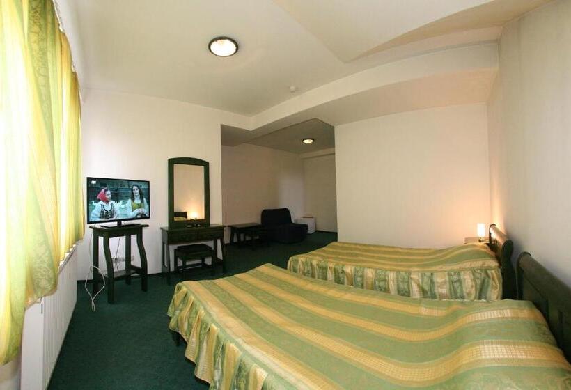 Номер Стандарт, Pensiune Montana