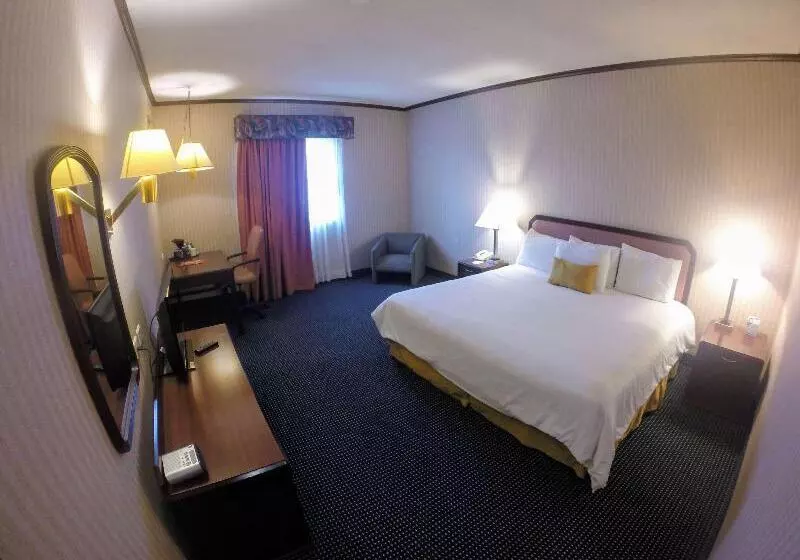 Standard Room, Georgian House