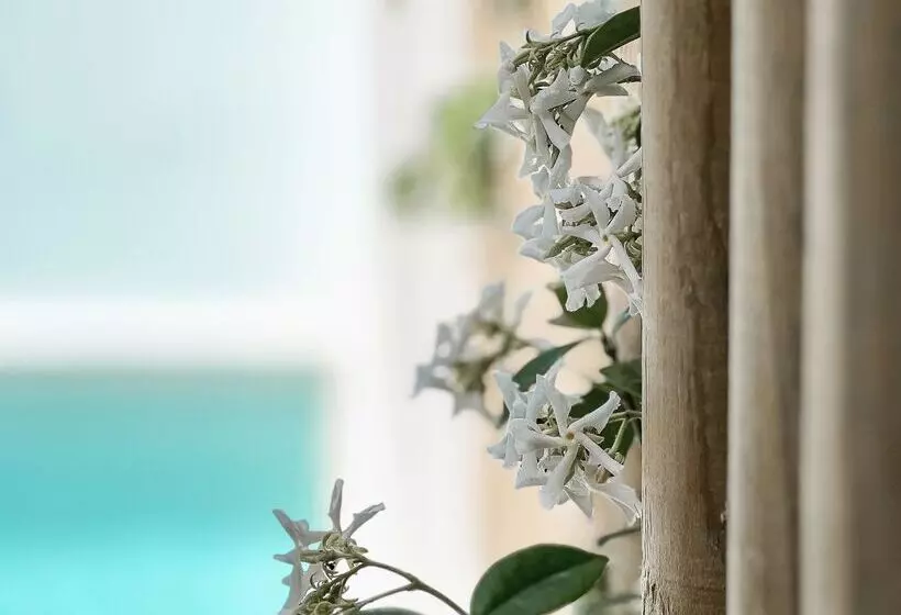 آپارتمان 1 خوابه, Prinsotel La Dorada 4* Sup