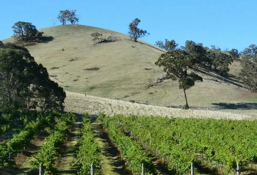 １ベッドルームハウス, Blue House At Mountainside Wines