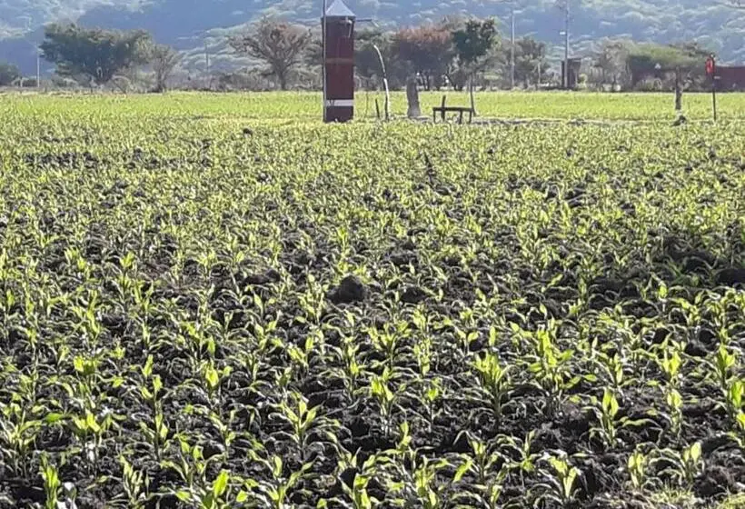 キングサイズベッドのデラックスルーム, Hacienda Santa Clara, Morelos, Tenango, Jantetelco