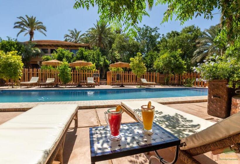 带花园景观的标准工作室, Ecolodge La Palmeraie