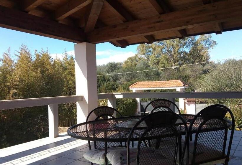 Standard Værelse m. Terrasse, Istentales Alghero