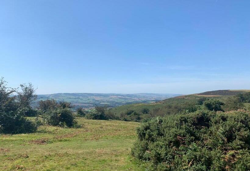 基本间, The Carew Arms