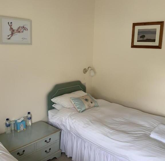 基本间, The Carew Arms