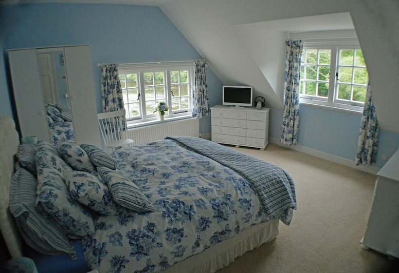 豪华房间, Pwll Y Faedda