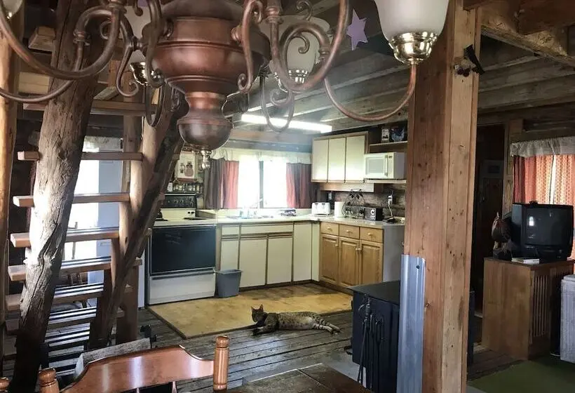 １ベッドルームエコノミーアパートメント, Montana Hill Guest Ranch