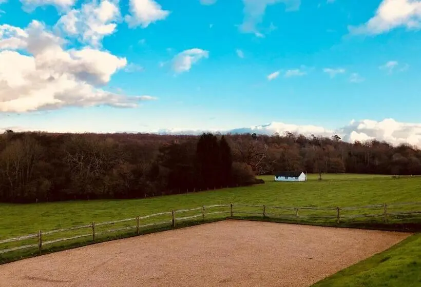 デラックスルーム, The Dorset Arms Pub & Cottage Rooms