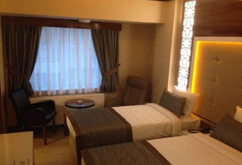 デラックスルーム, Grand Hotel Basaran