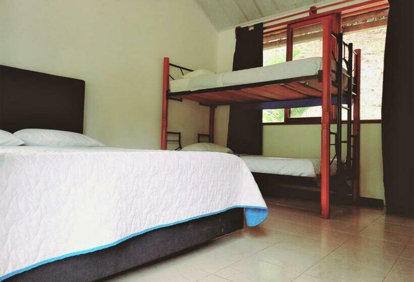 スタンダード4人部屋, Campestre La Gaitana