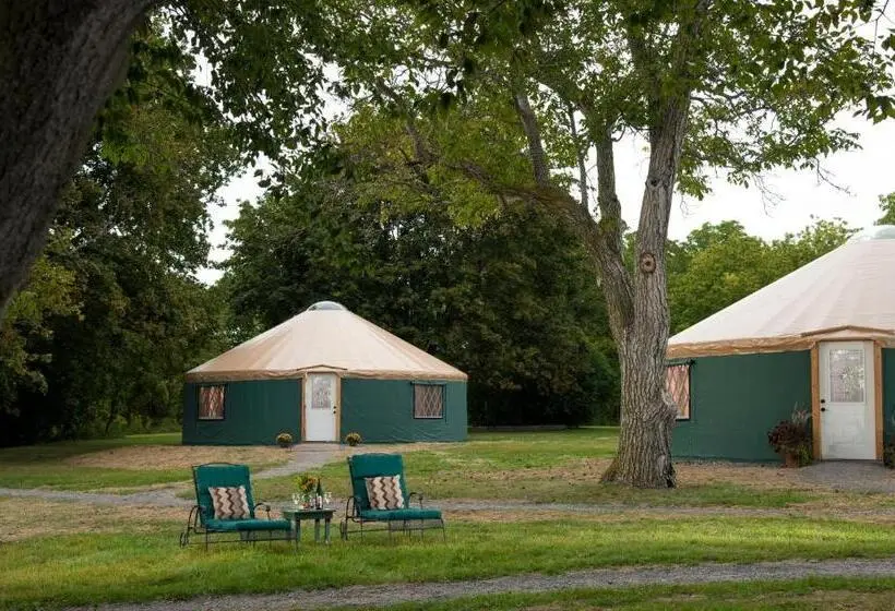 スタンダードルーム, Yale Manor B&b & Yurt Glamping