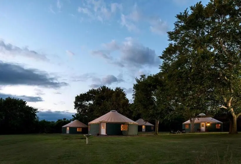 スタンダードルーム, Yale Manor B&b & Yurt Glamping