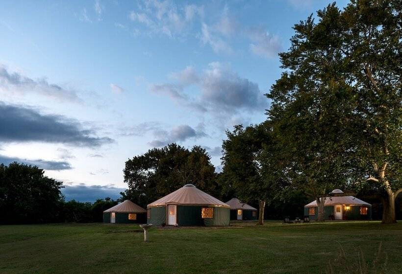 Номер Стандарт, Yale Manor B&b & Yurt Glamping