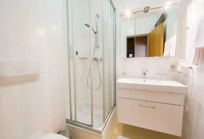 Standard Single Room, Restaurant Gollner