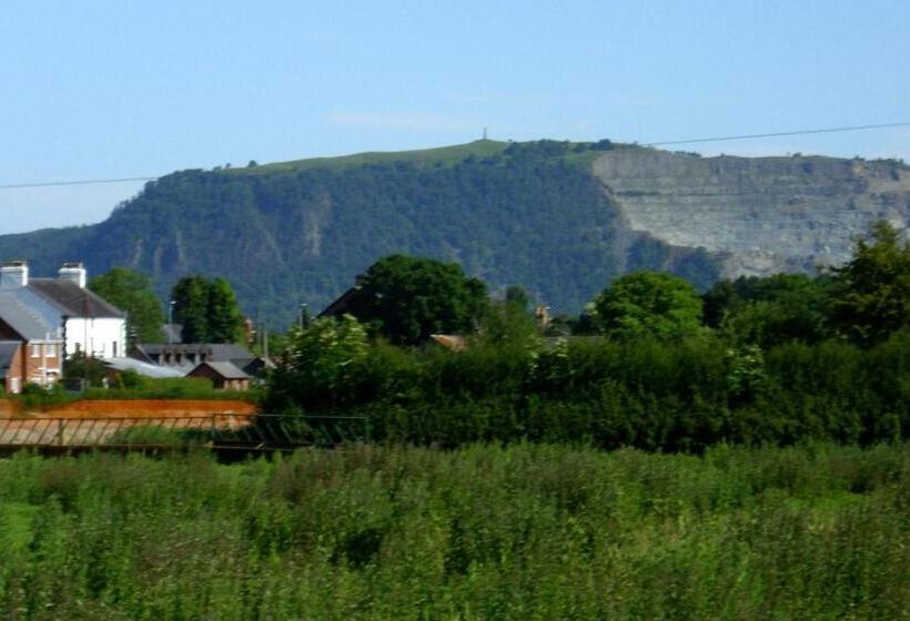 Camera Tripla Standard, Ty Llew