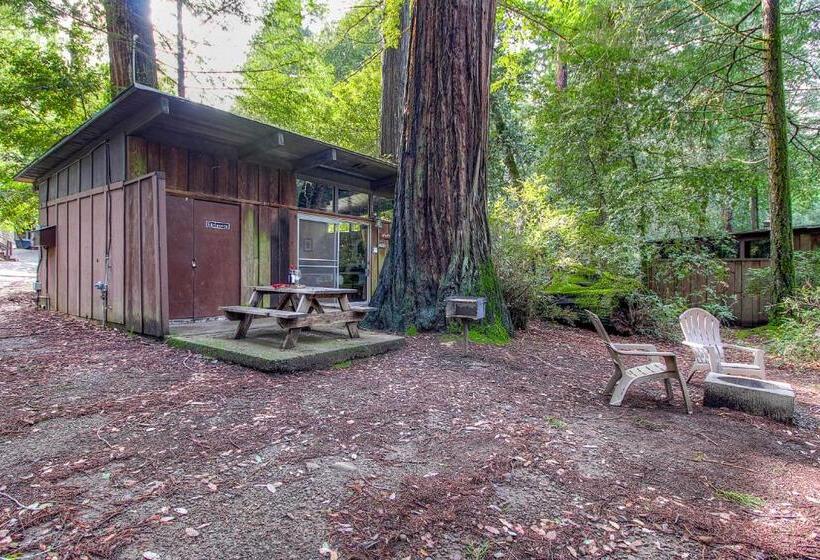 스탠다드 방갈로, Redwoods River Resort & Campground