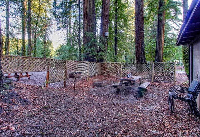 Дом 1 Спальня, Redwoods River Resort & Campground
